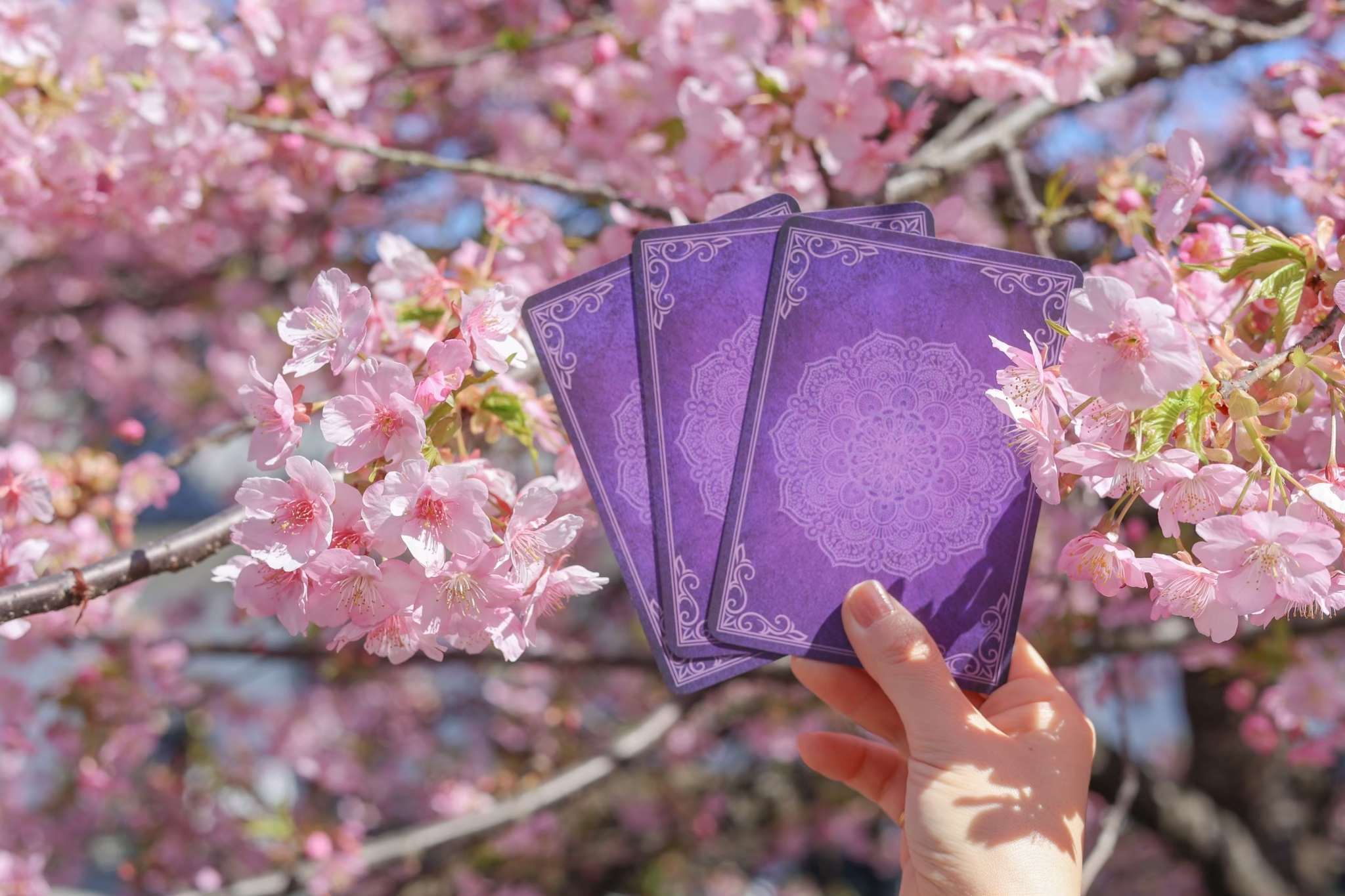 Encourage Website Top